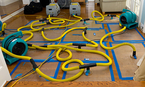 Professional Crawl Space Water Removal technician working in Tiltonsville, OH